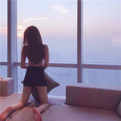 宝可梦大探险测试服下载